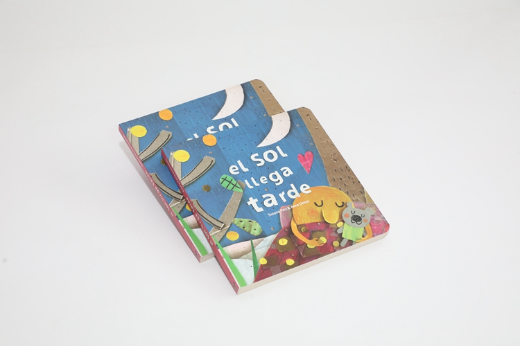 board story book children