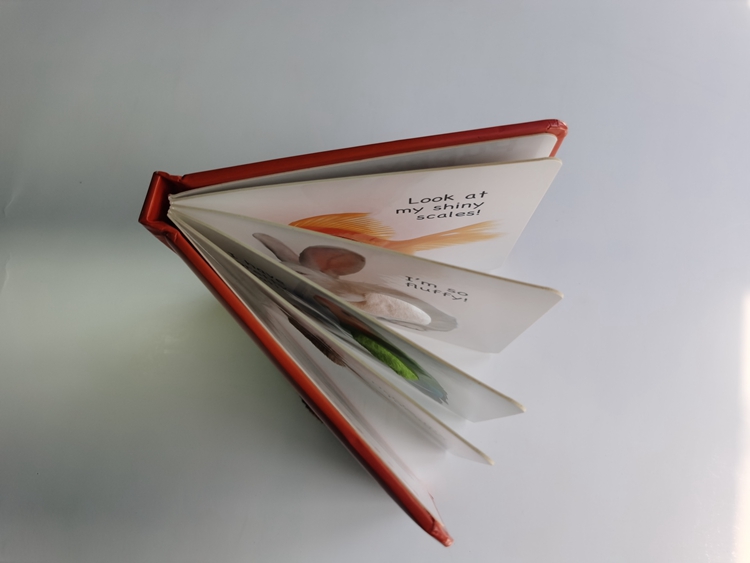 hardcover foam padded touch and feel books