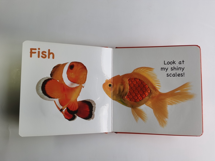 hardcover foam padded touch and feel books