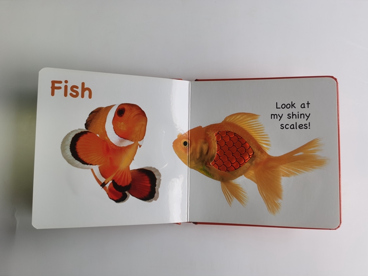 hardcover foam padded touch and feel books