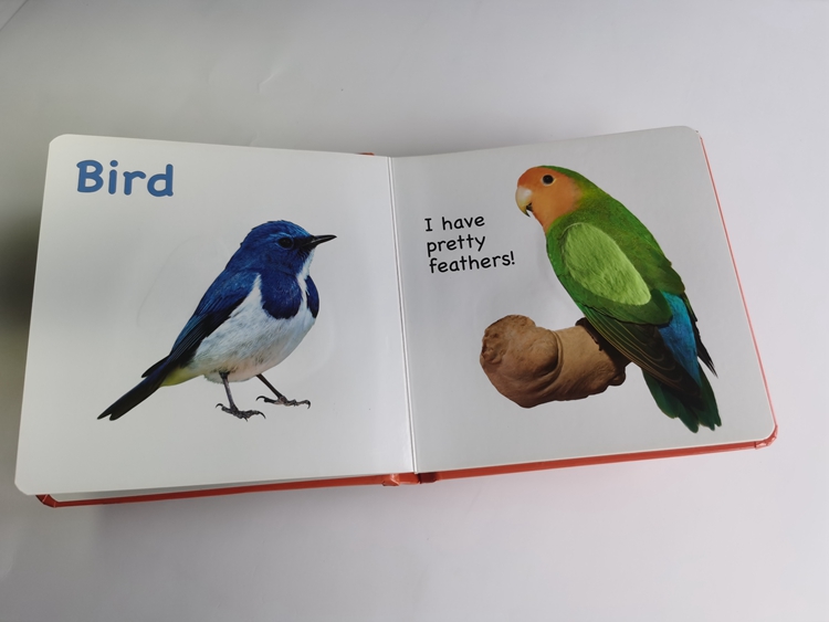 hardcover foam padded touch and feel books
