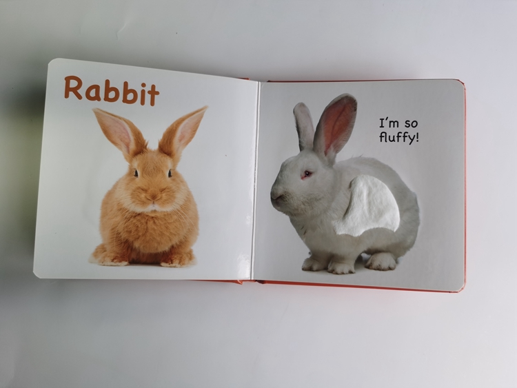 hardcover foam padded touch and feel books