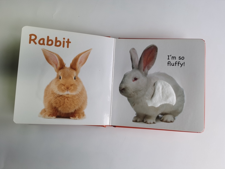 hardcover foam padded touch and feel books