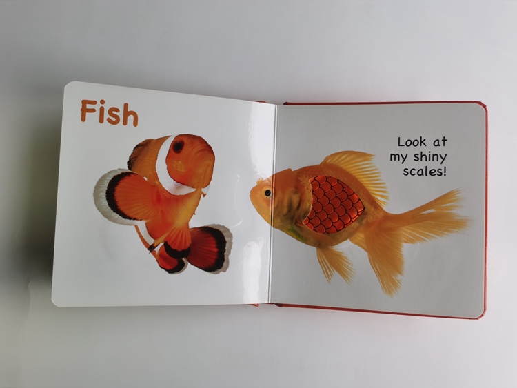 hardcover foam padded touch and feel books