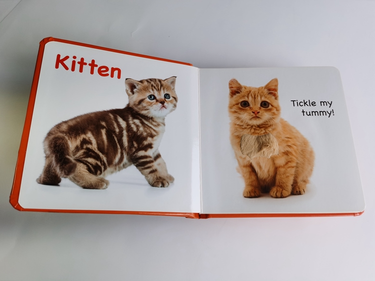 hardcover foam padded touch and feel books