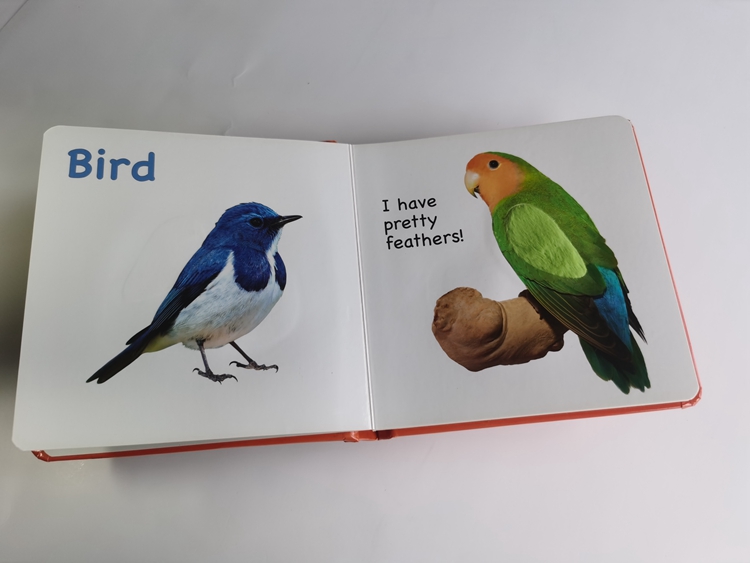 hardcover foam padded touch and feel books
