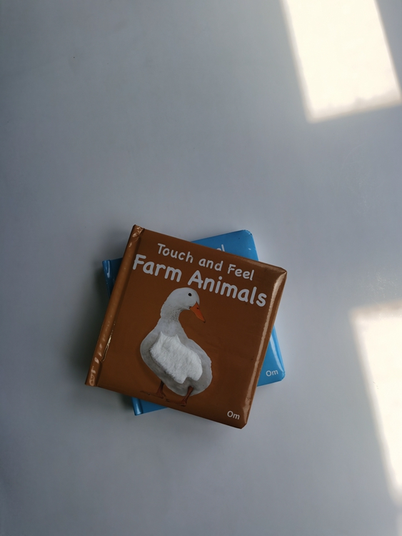hardcover foam padded touch and feel books