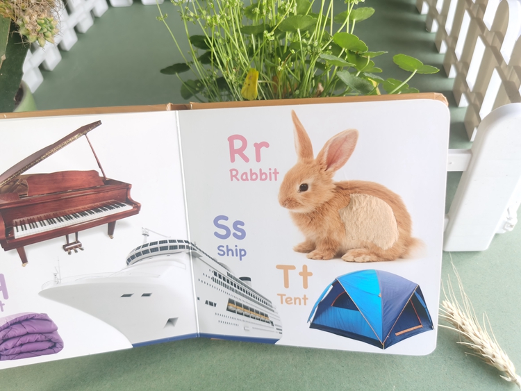 hardcover foam padded touch and feel books