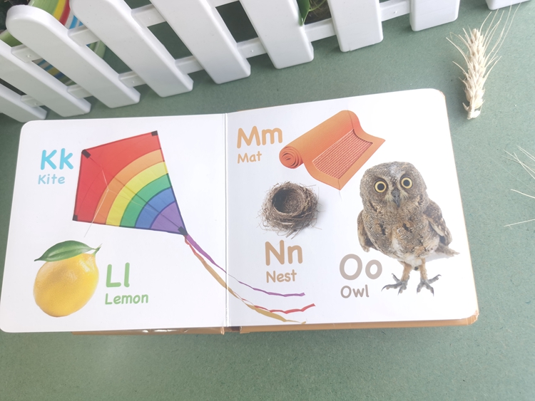 hardcover foam padded touch and feel books