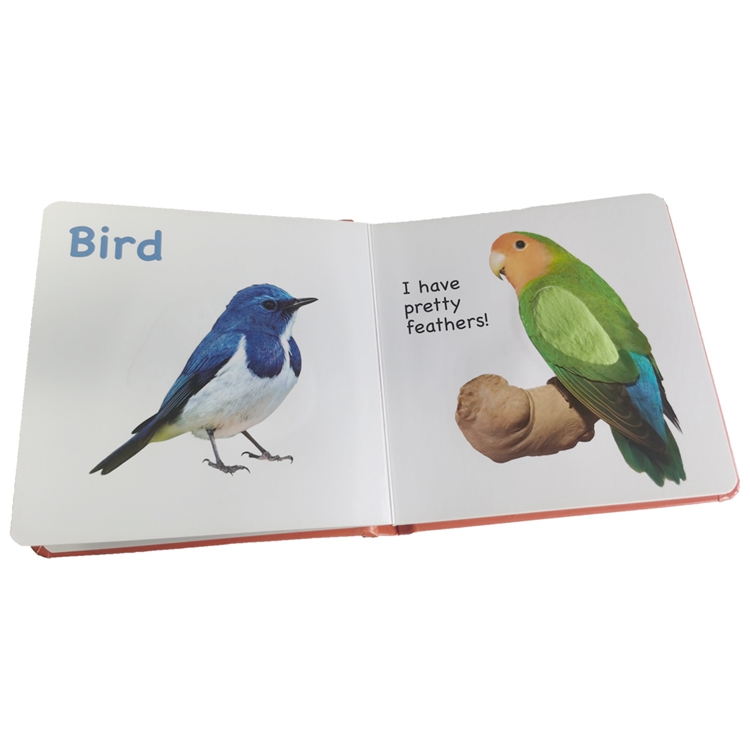 hardcover foam padded touch and feel books