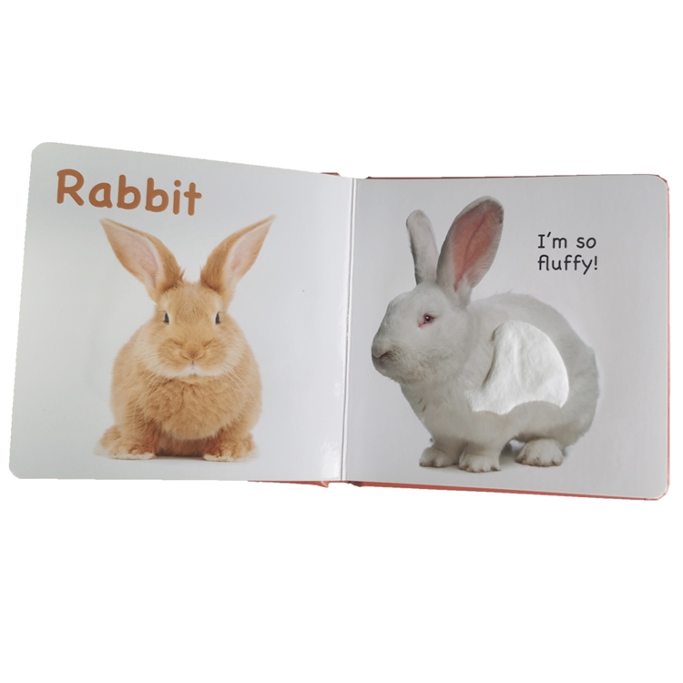 hardcover foam padded touch and feel books