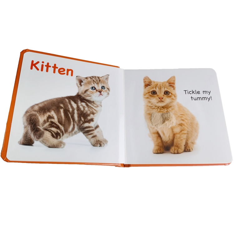 hardcover foam padded touch and feel books