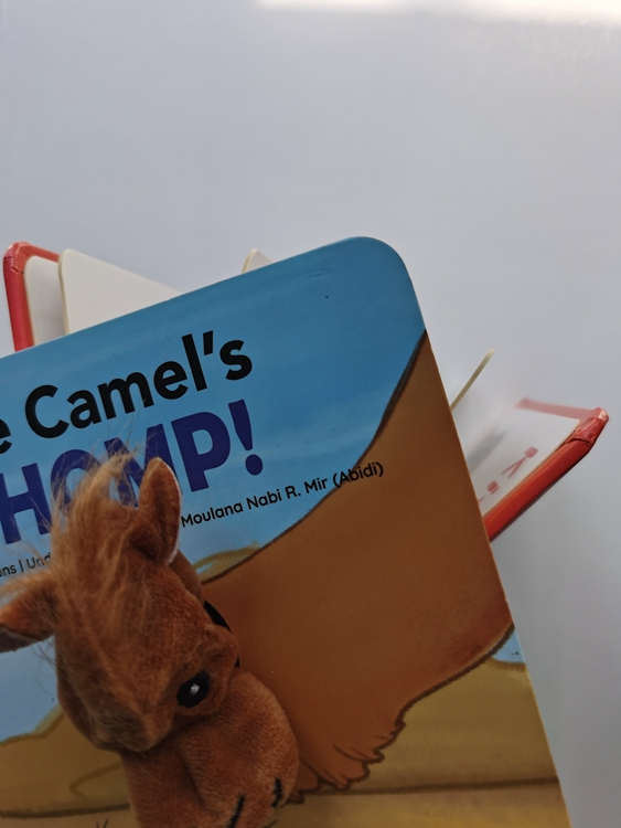 hardcover foam padded touch and feel books