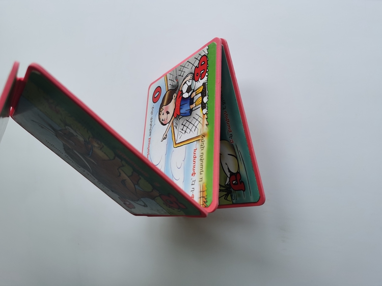 Puzzles books